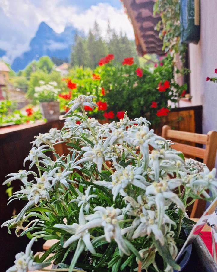 Amor Tirol Busteni (Adults Only) Exterior photo