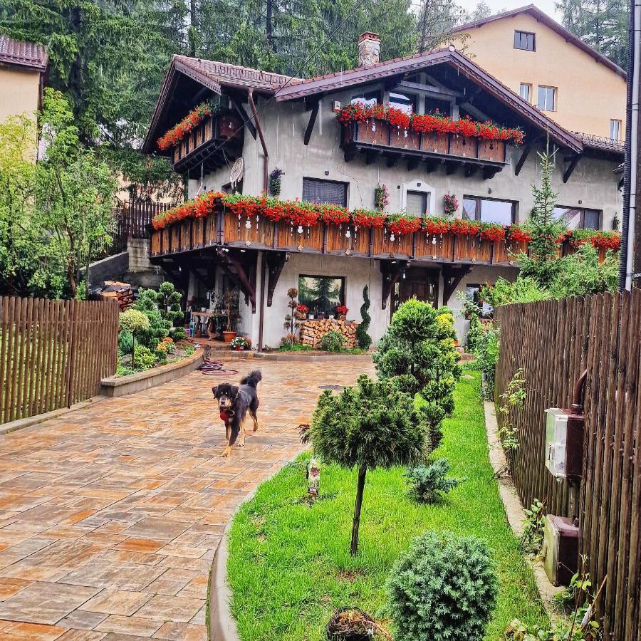 Amor Tirol Busteni (Adults Only) Exterior photo